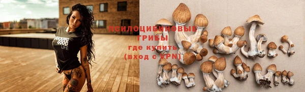 спиды Алзамай